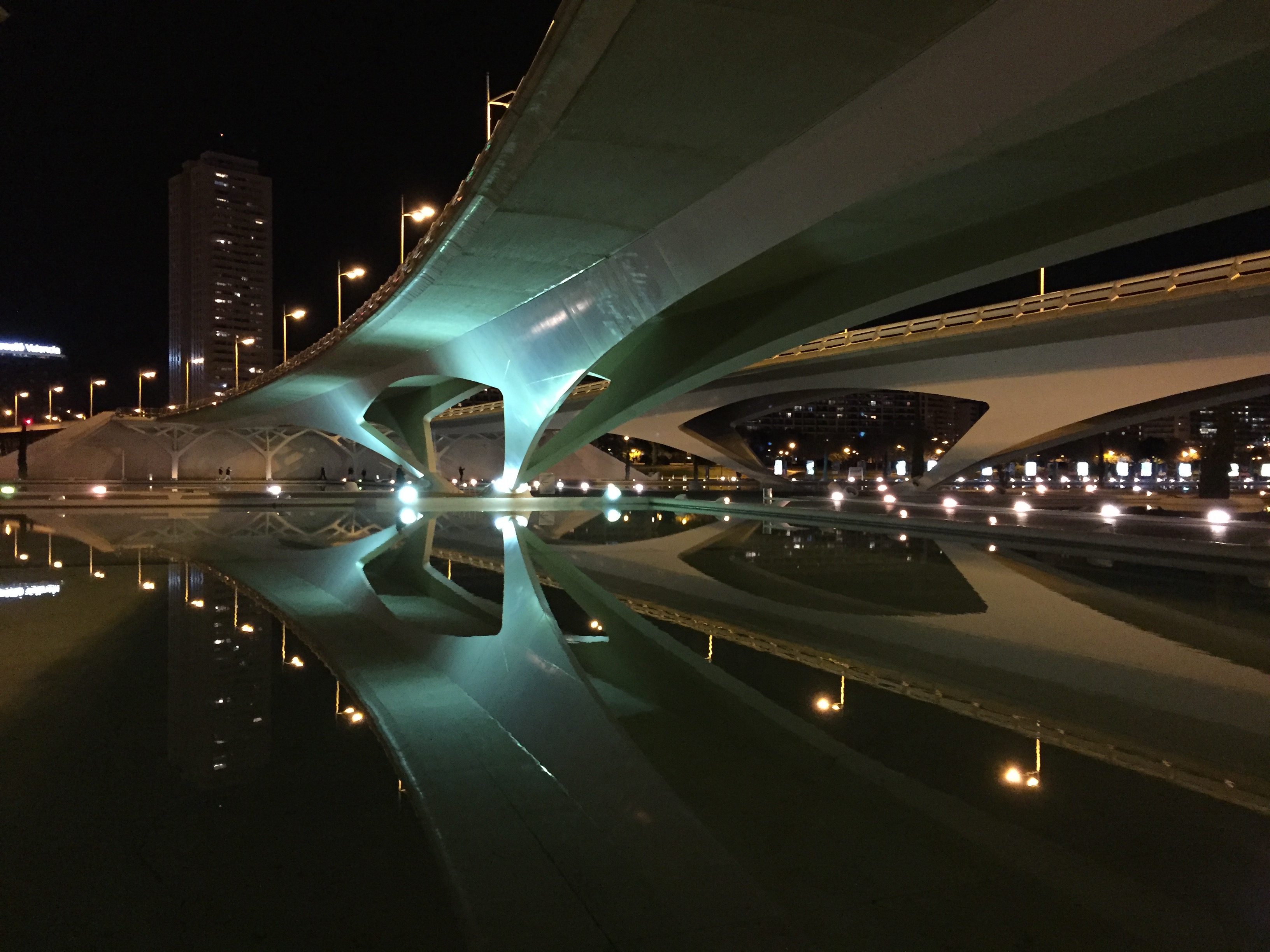 Bridge above City of Arts and Sciences Valencia