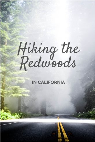 Hiking the Redwood Forests