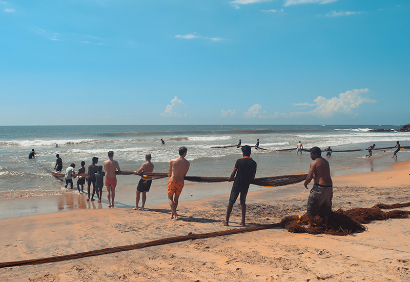 Fishing with nets in Sri Lanka Gintota beach