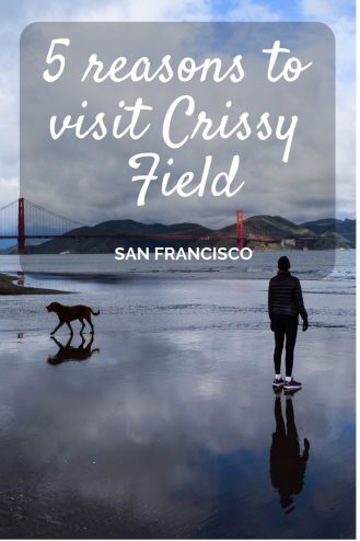 5 reasons to visit Crissy Field, San Francisco