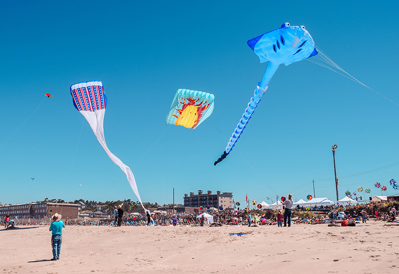 Lincoln City Summer Kite Festival The World Is Kullin